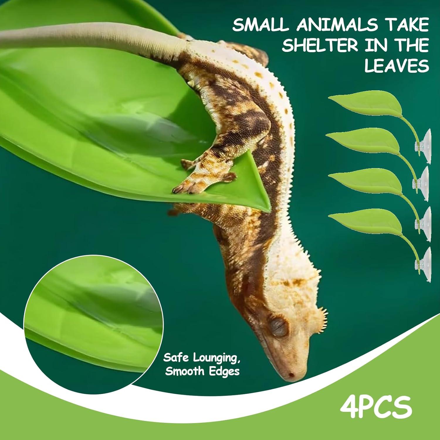 Juego de Plataforma para Tortugas HISAKYST 4PCS Verde