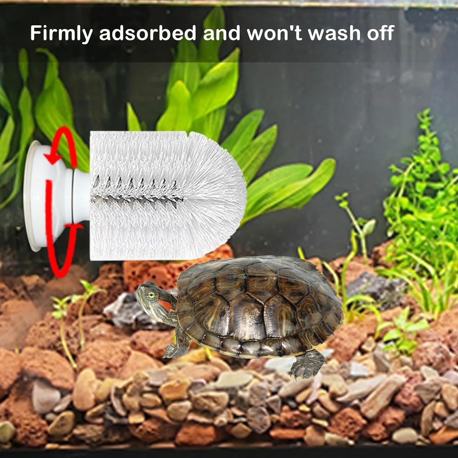 Cepillo de Limpieza para Tortugas Neacus con Ventosa Firme