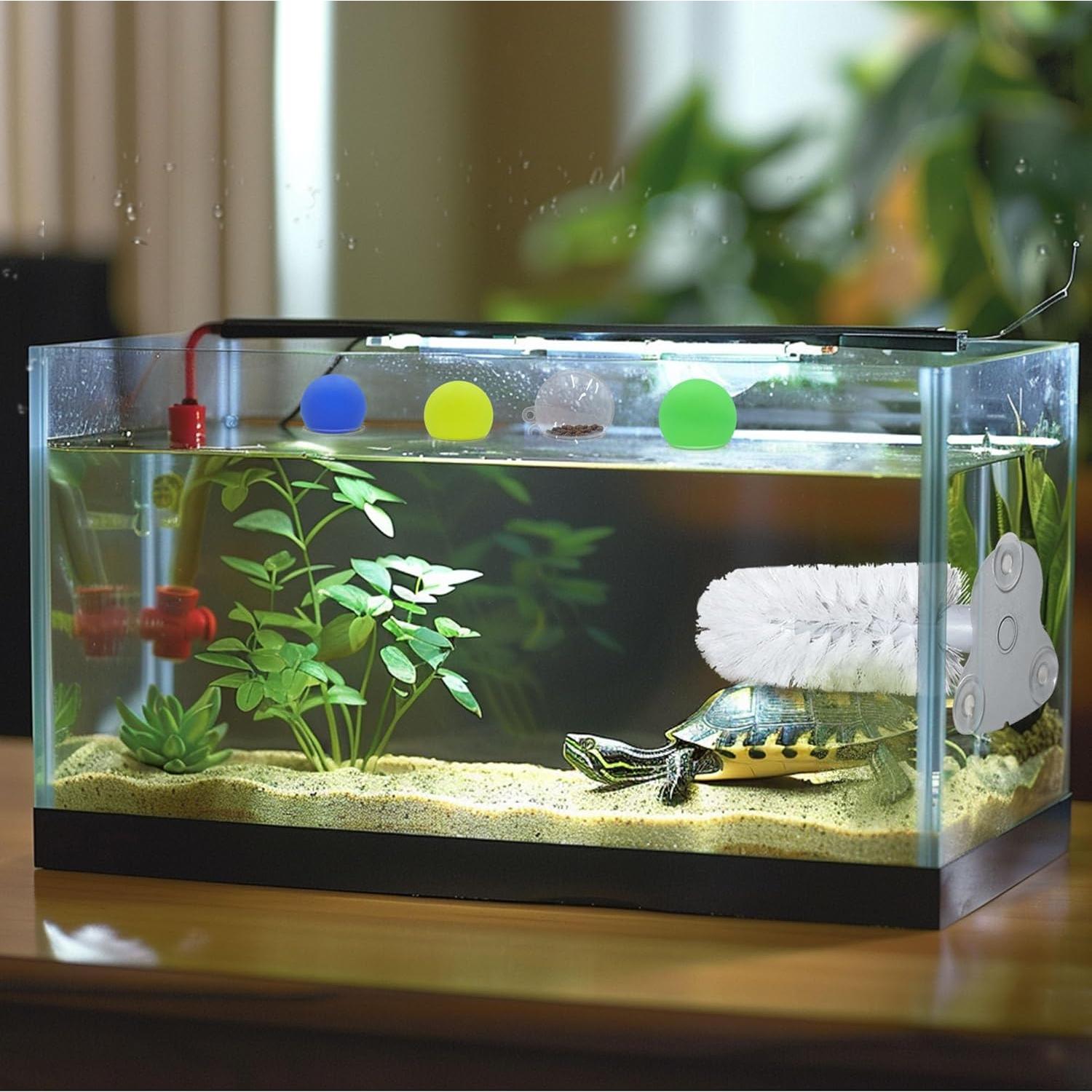 Accesorios para Acuario de Tortuga JJMOLLE - Cepillo y 4 Pelotas