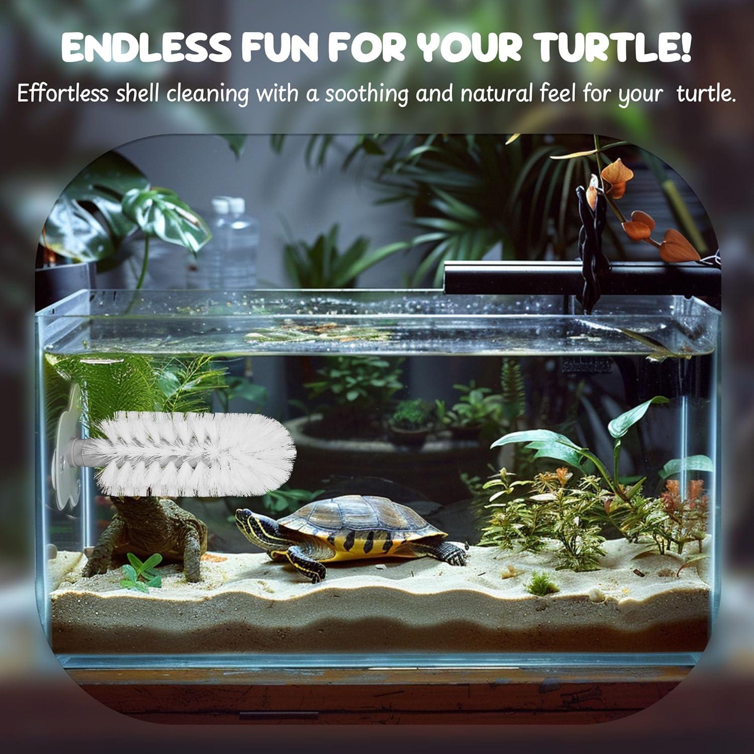 Accesorios para Acuario de Tortuga JJMOLLE - Cepillo y 4 Pelotas