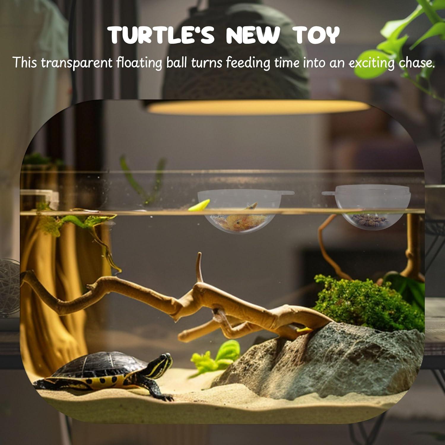 Accesorios para Acuario de Tortuga JJMOLLE - Cepillo y 4 Pelotas