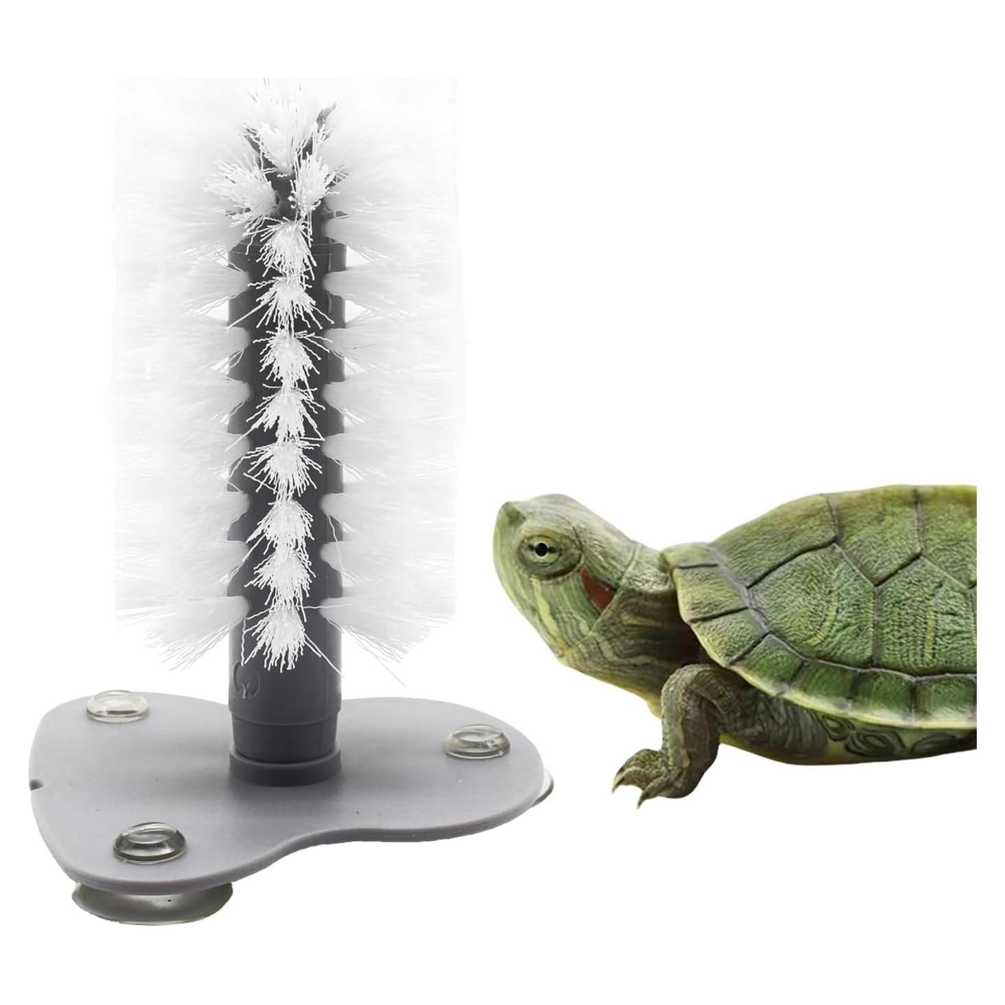 Cepillo para Tortugas DoubleWood con Ventosa - 19x12cm