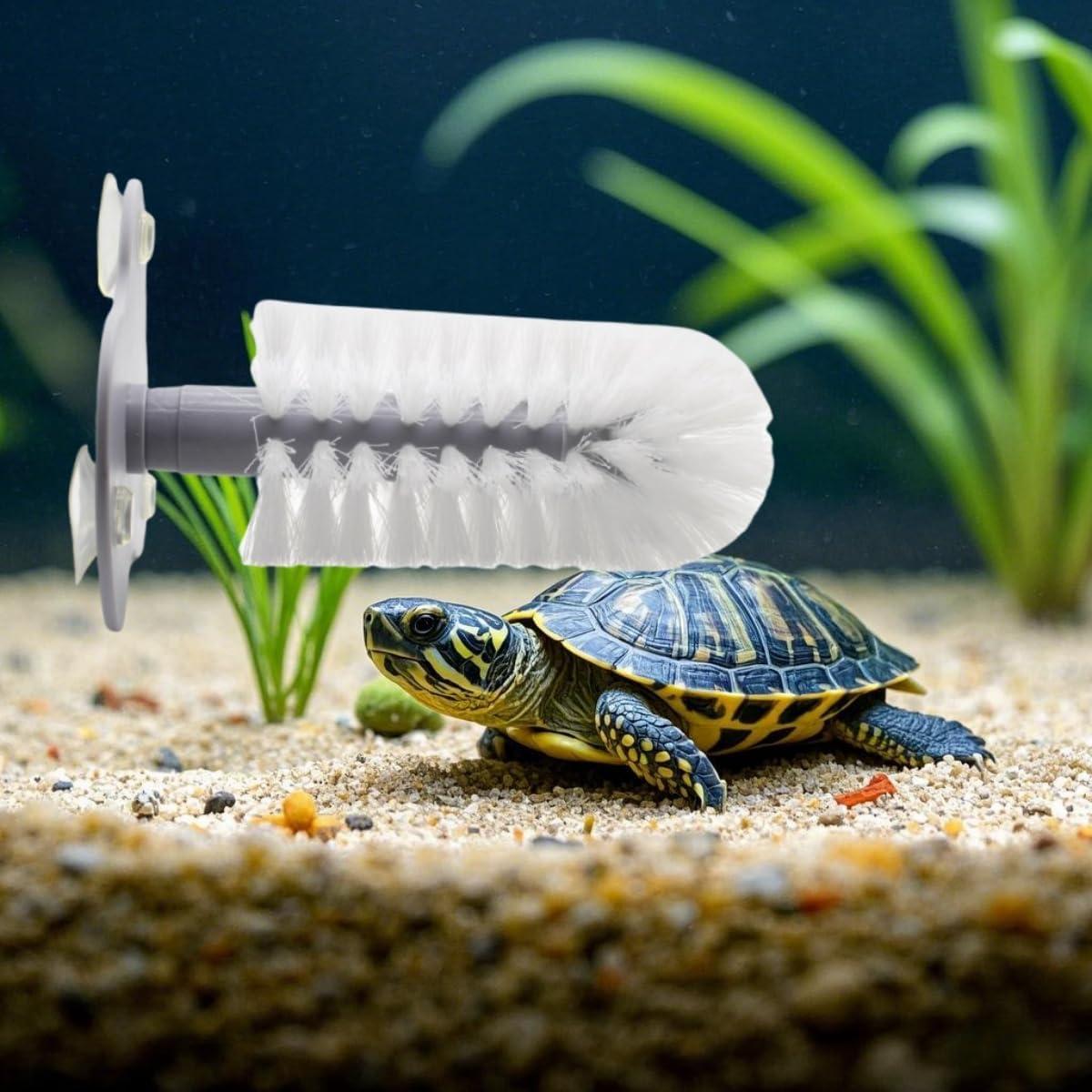 Cepillo para Tortugas DoubleWood con Ventosa - 19x12cm