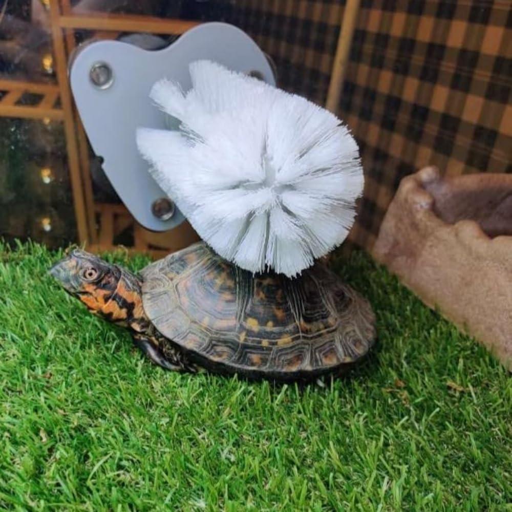 Cepillo para Tortugas DoubleWood con Ventosa - 19x12cm