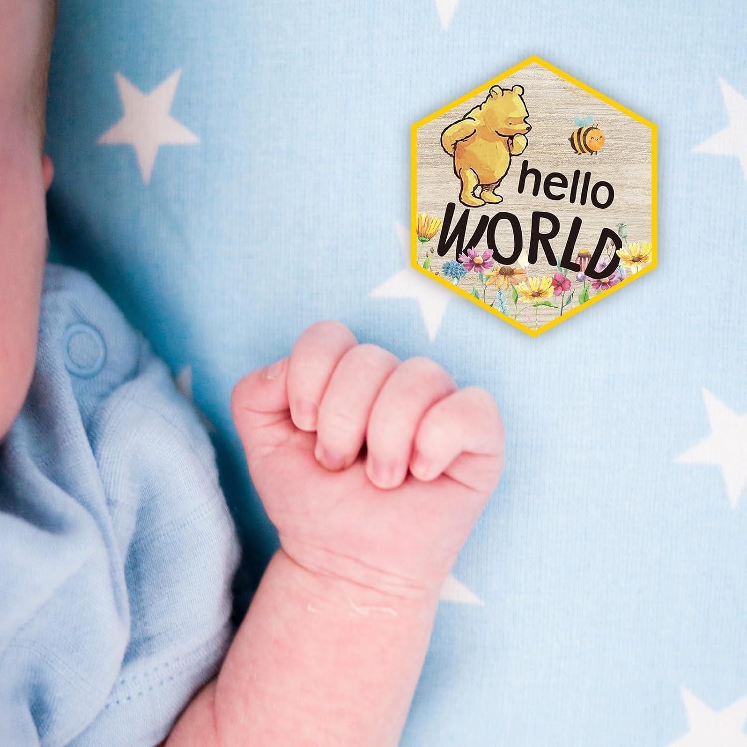 Tarjetas de Hito Mensual de Madera PAMBO - 7 Piezas