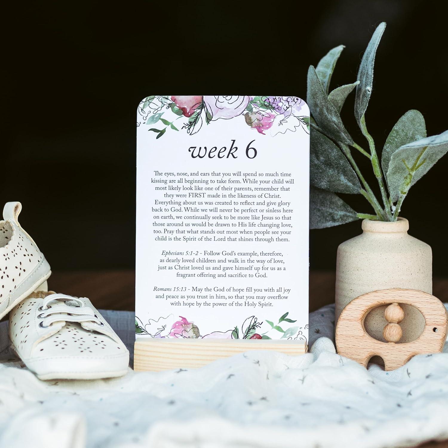 Tarjetas de Hitos de Embarazo Duncan & Stone - 20 Semanas