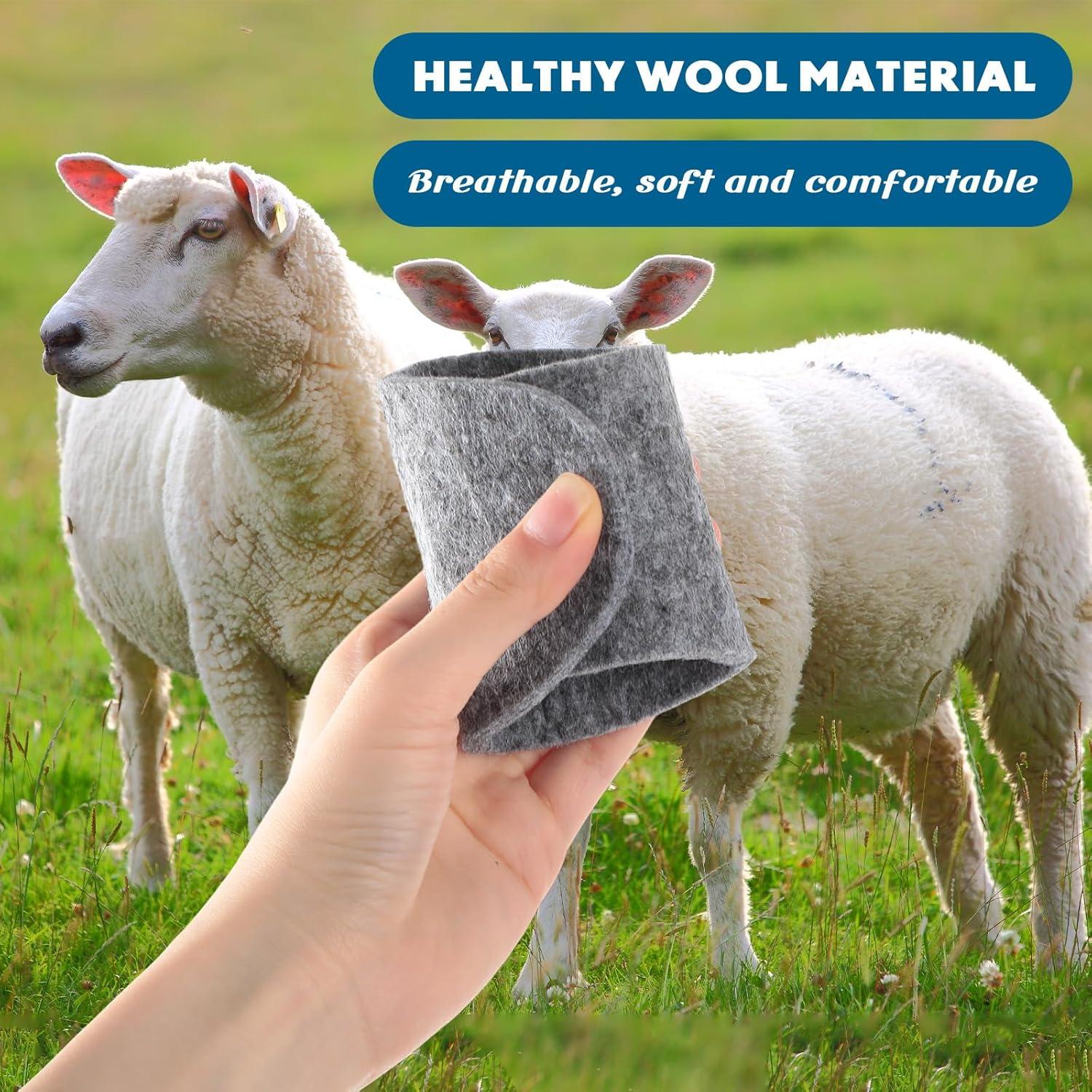 10 Pares de Plantillas de Lana de Fieltro Cutecrop - Talla 25 cm