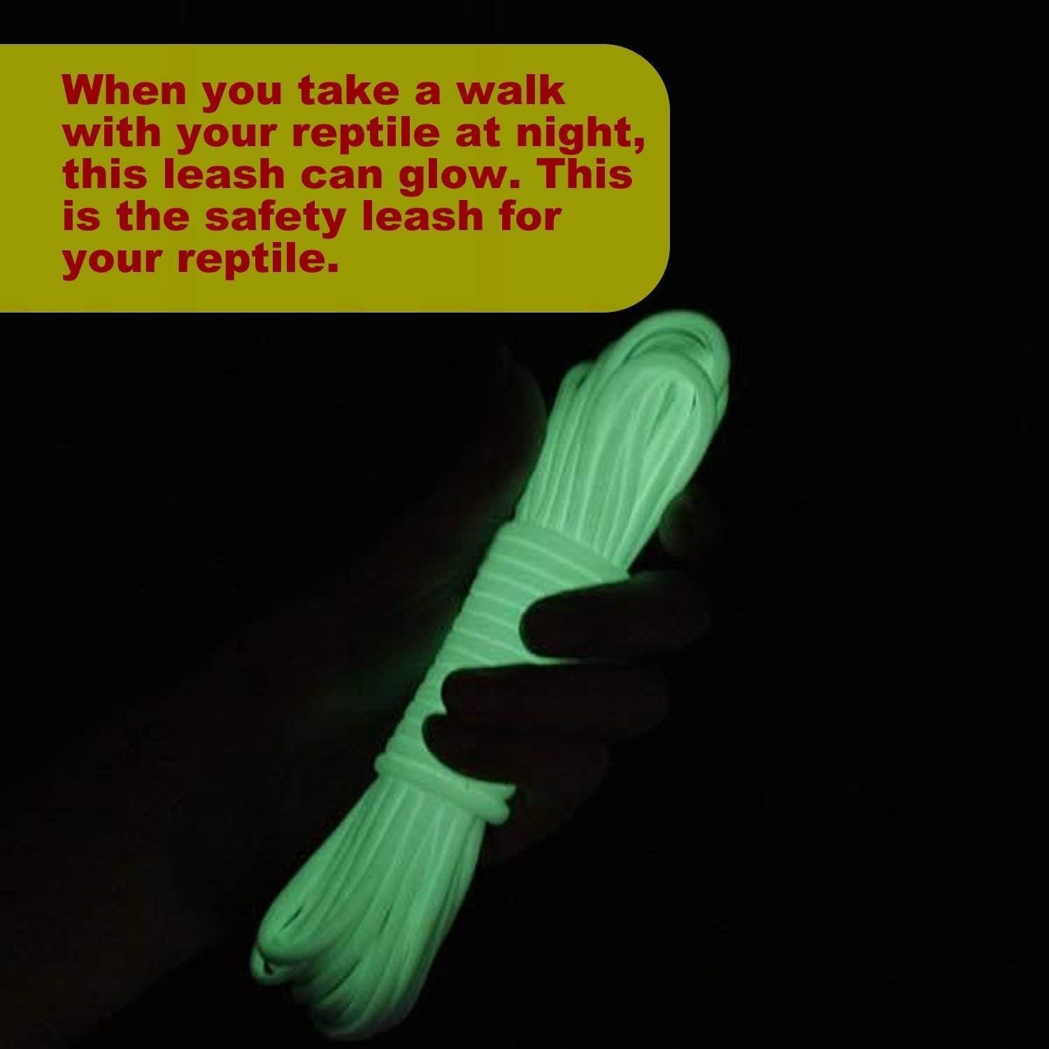 Correa Ajustable para Reptiles HAICHEN TEC 1.68m Nylon