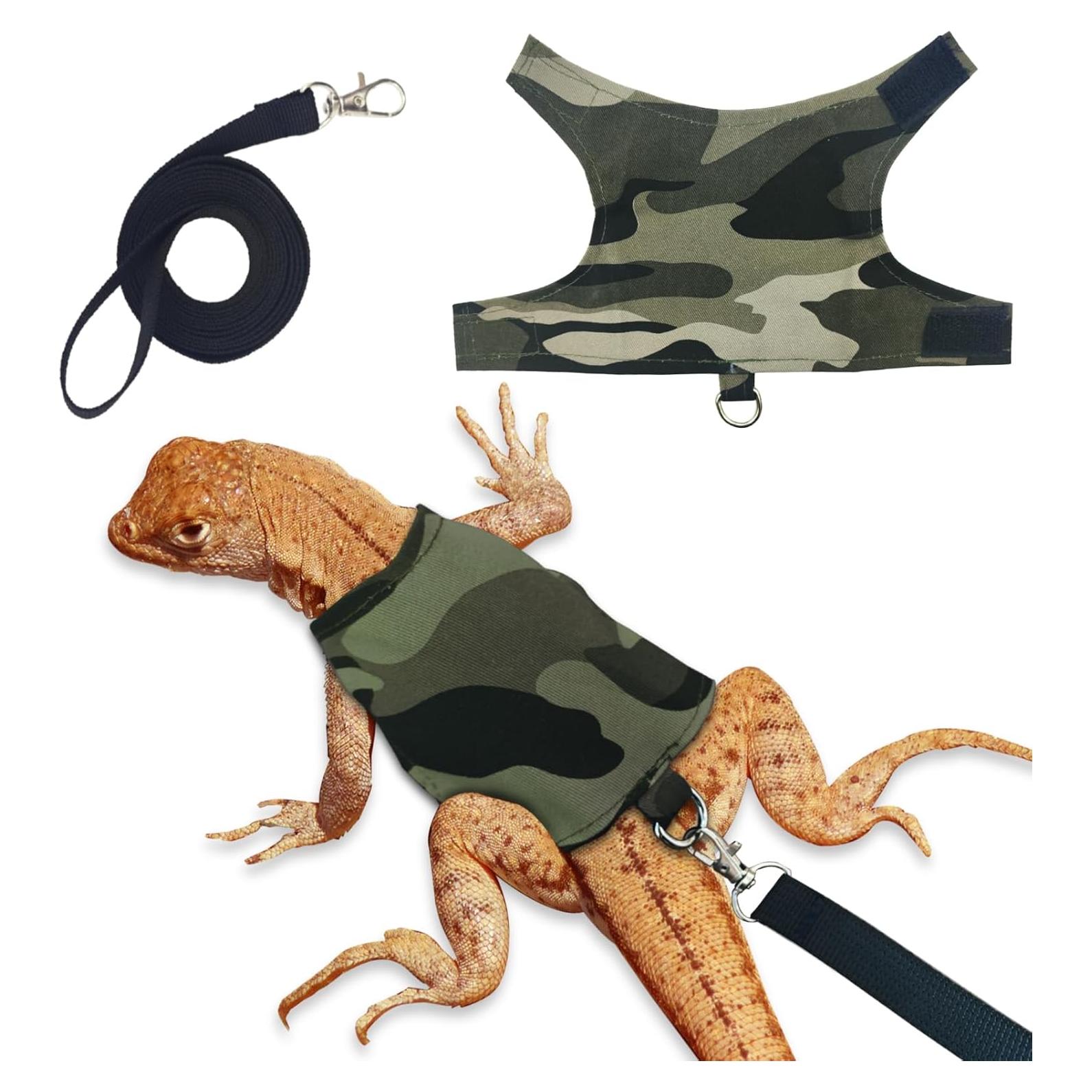 Conjunto Arnés y Correa Ajustable XQIGI para Dragón Barbudo