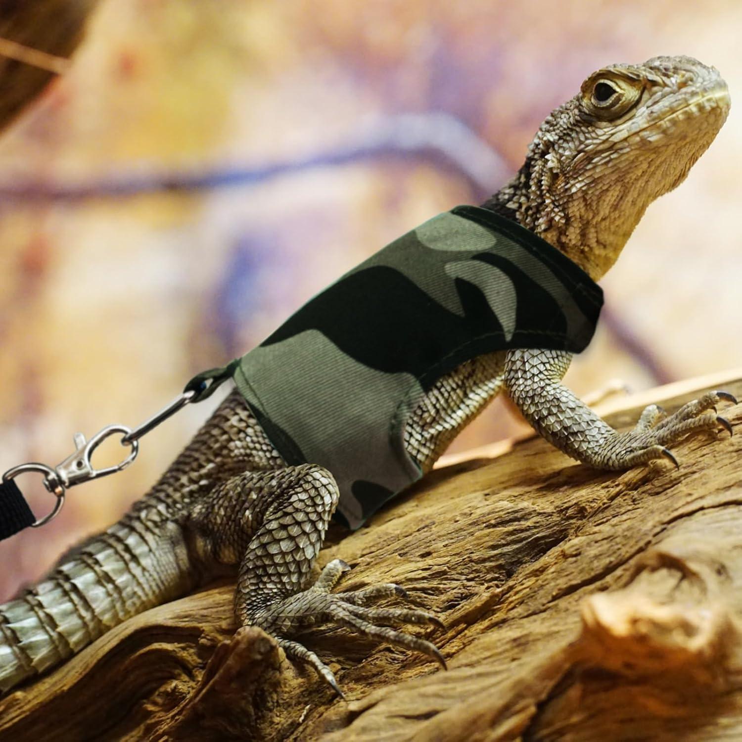 Conjunto Arnés y Correa Ajustable XQIGI para Dragón Barbudo