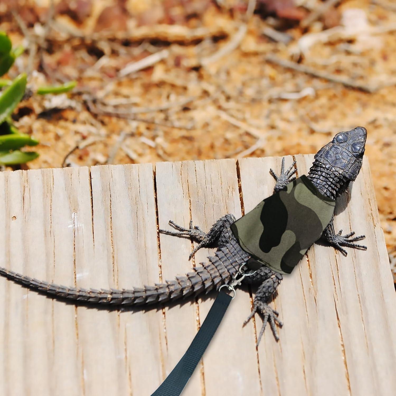Conjunto Arnés y Correa Ajustable XQIGI para Dragón Barbudo