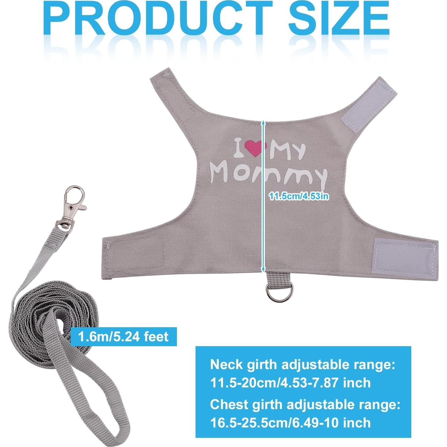 Conjunto Arnés y Correa Ajustable Gosknor para Reptiles