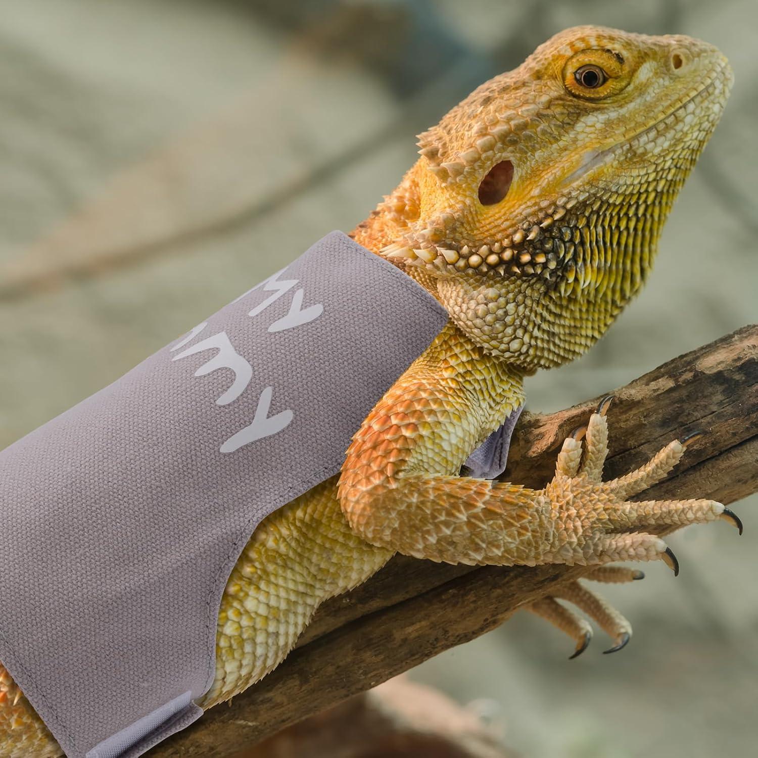 Conjunto Arnés y Correa Ajustable Gosknor para Reptiles