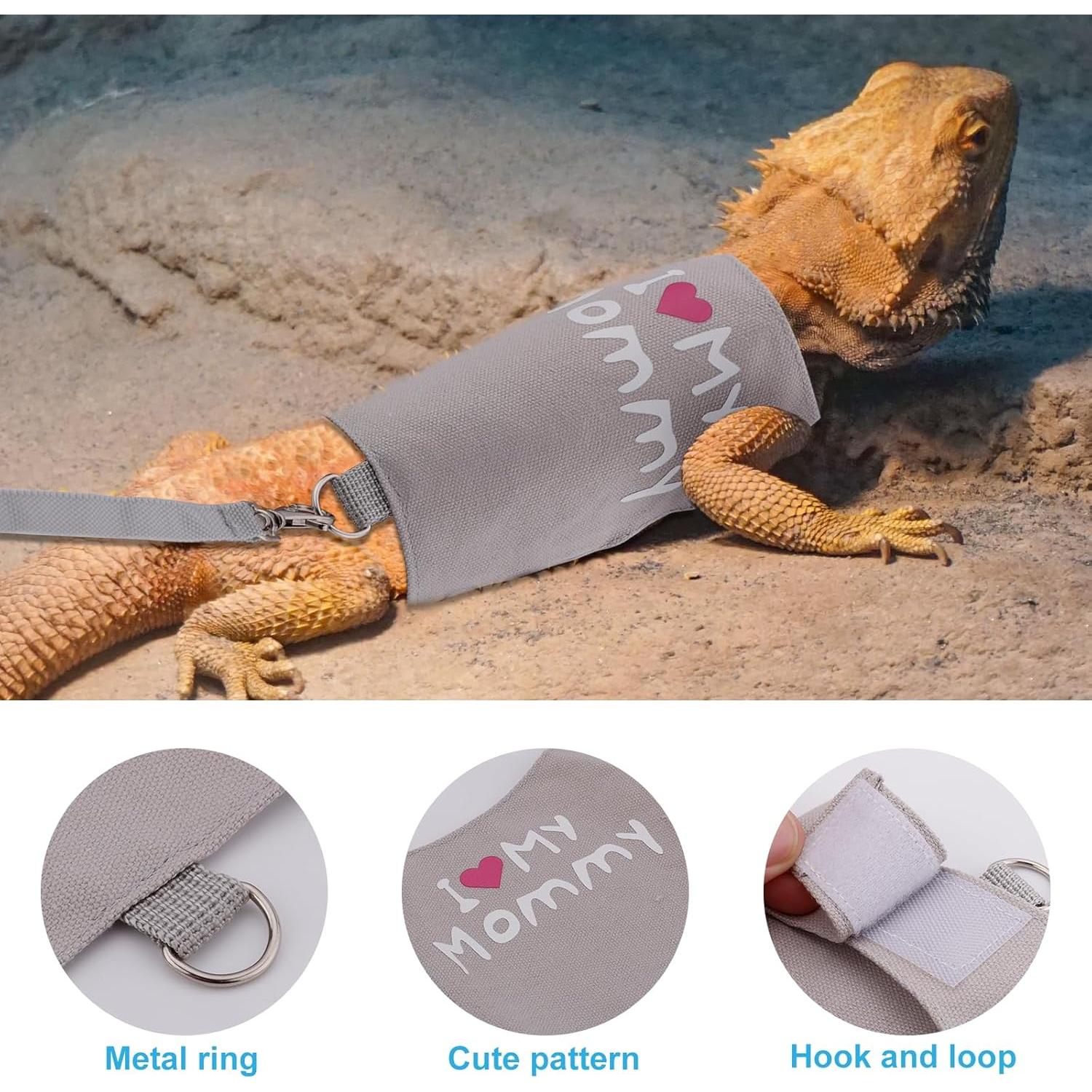 Conjunto Arnés y Correa Ajustable Gosknor para Reptiles