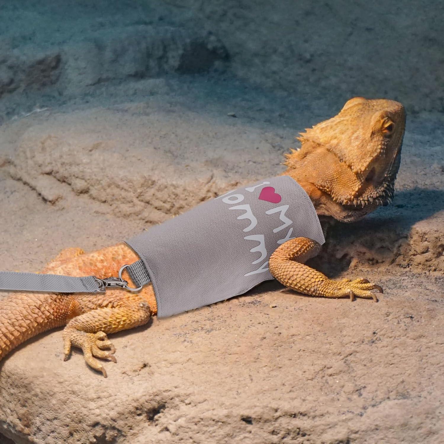 Conjunto Arnés y Correa Ajustable Gosknor para Reptiles