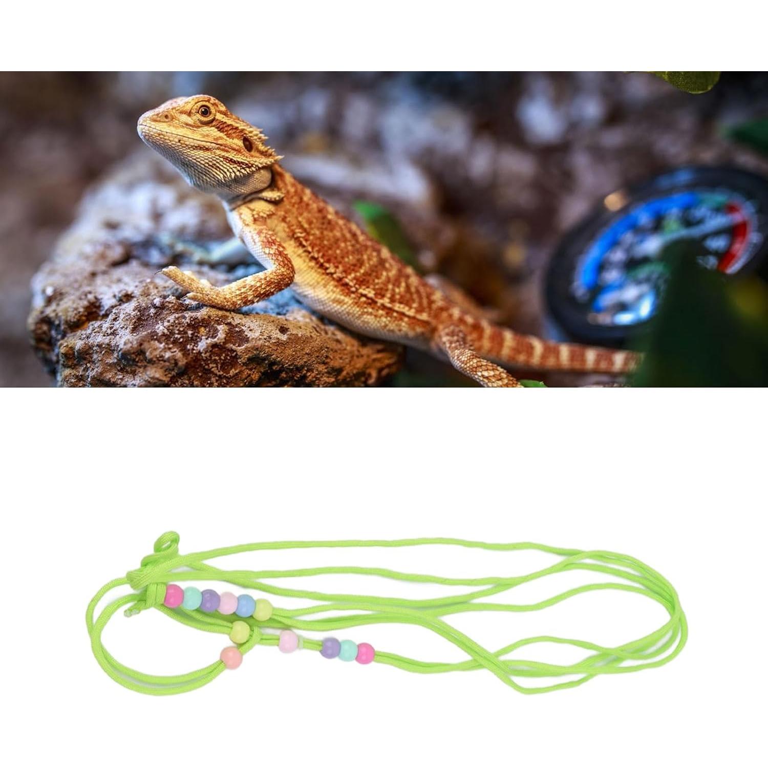 Correa de Tracción Ajustable Tnfeeon para Reptiles Verde