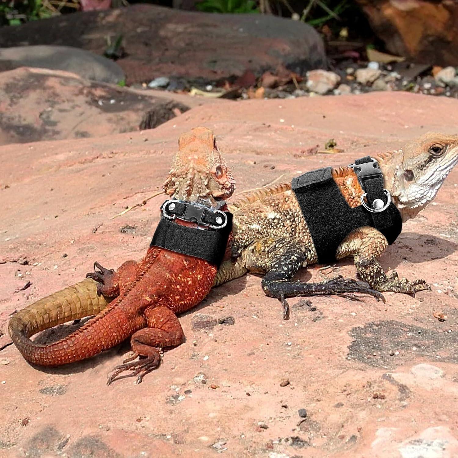 Juego de 3 arneses ajustables y correa para reptiles HJZHII