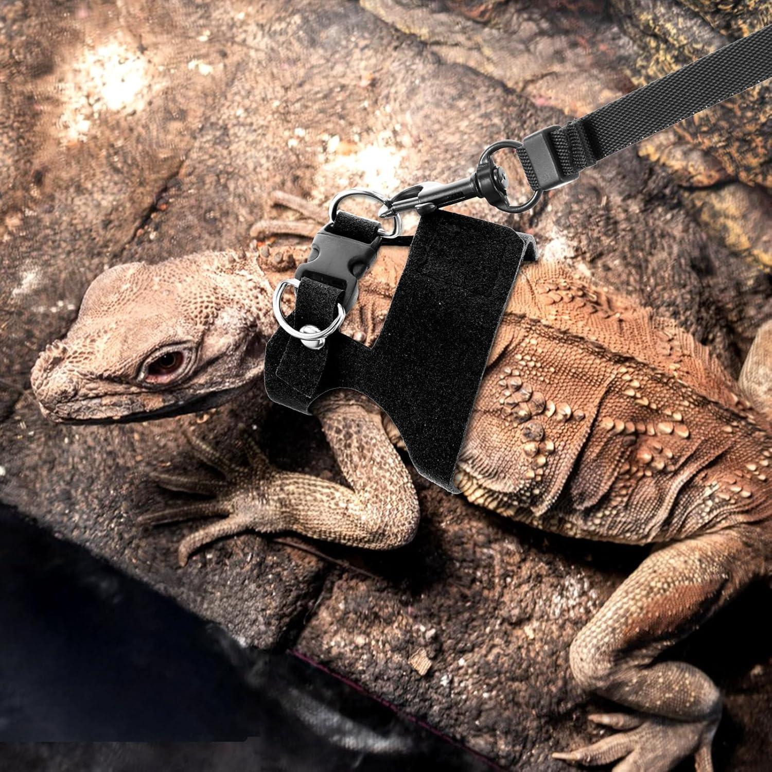 Juego de 3 arneses ajustables y correa para reptiles HJZHII