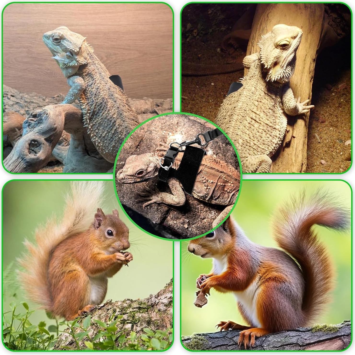 Juego de 3 arneses ajustables y correa para reptiles HJZHII