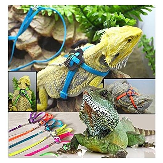 Arnés Ajustable para Reptiles NT_Big Multicolor 0.7cm