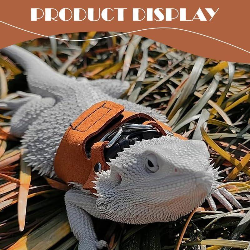 Correa y Arnés Ajustable HOKABLE para Dragón Barbudo - 3 Tamaños