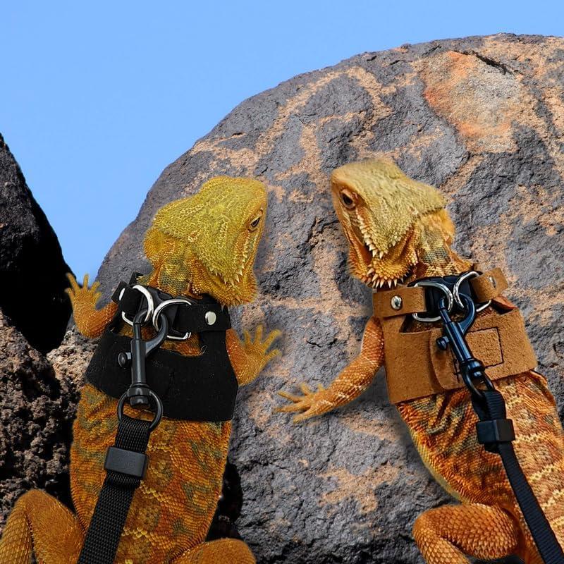 Correa y Arnés Ajustable HOKABLE para Dragón Barbudo - 3 Tamaños