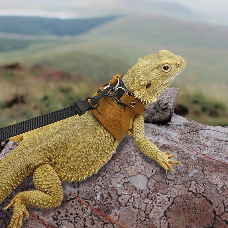 Correa y Arnés Ajustable HOKABLE para Dragón Barbudo - 3 Tamaños