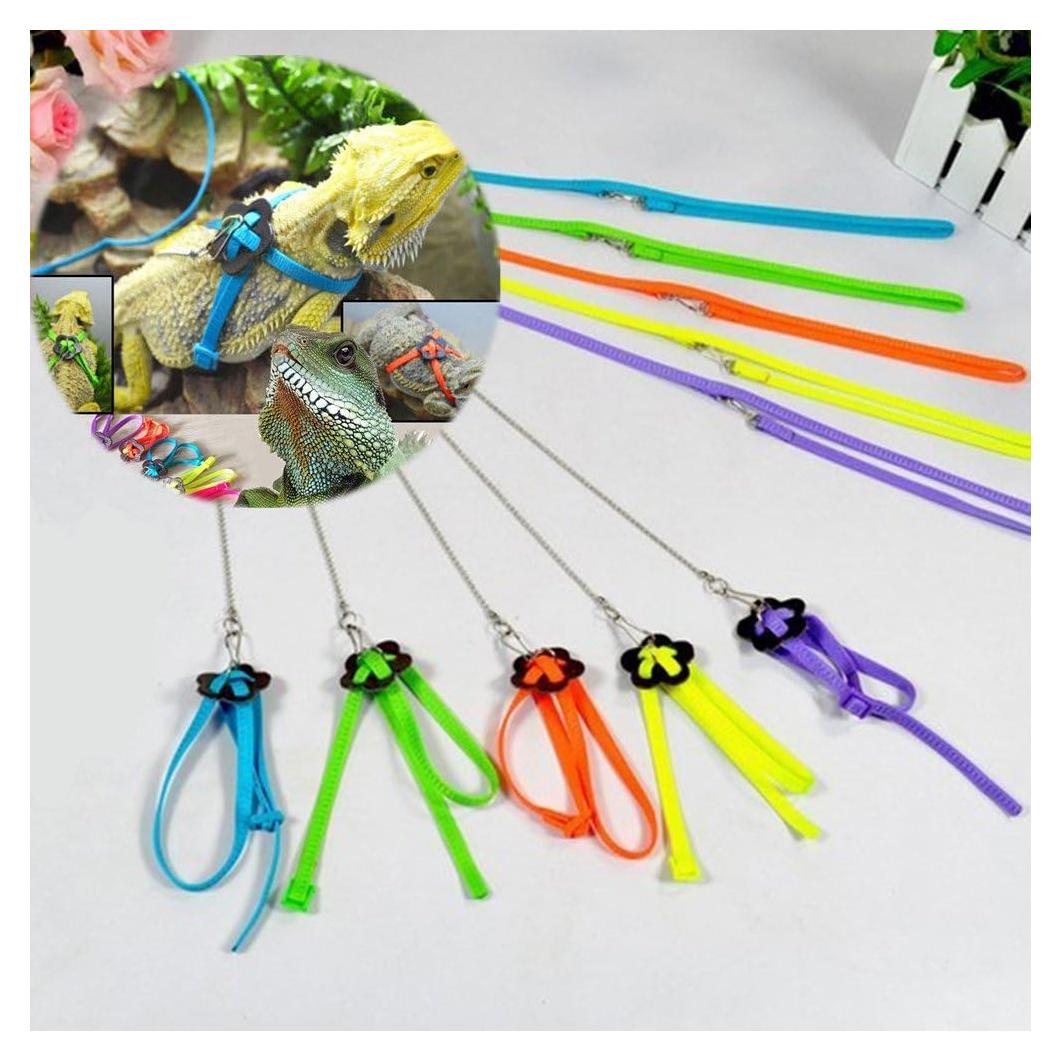 Conjunto Arnés y Correa Hypeety para Dragón Barbudo Reptiles