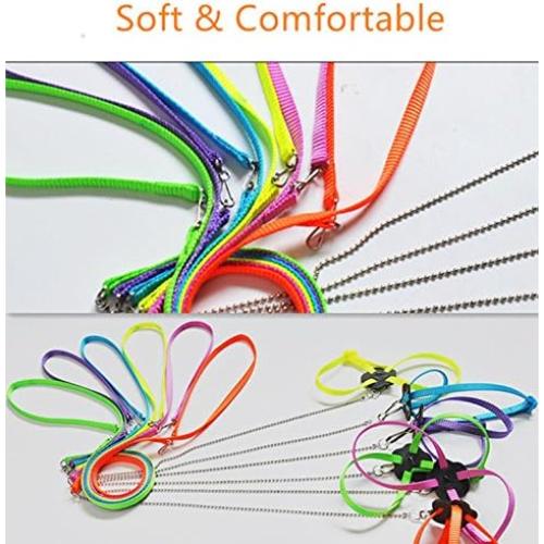 Conjunto Arnés y Correa Hypeety para Dragón Barbudo Reptiles