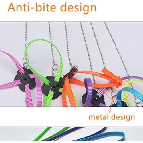 Conjunto Arnés y Correa Hypeety para Dragón Barbudo Reptiles