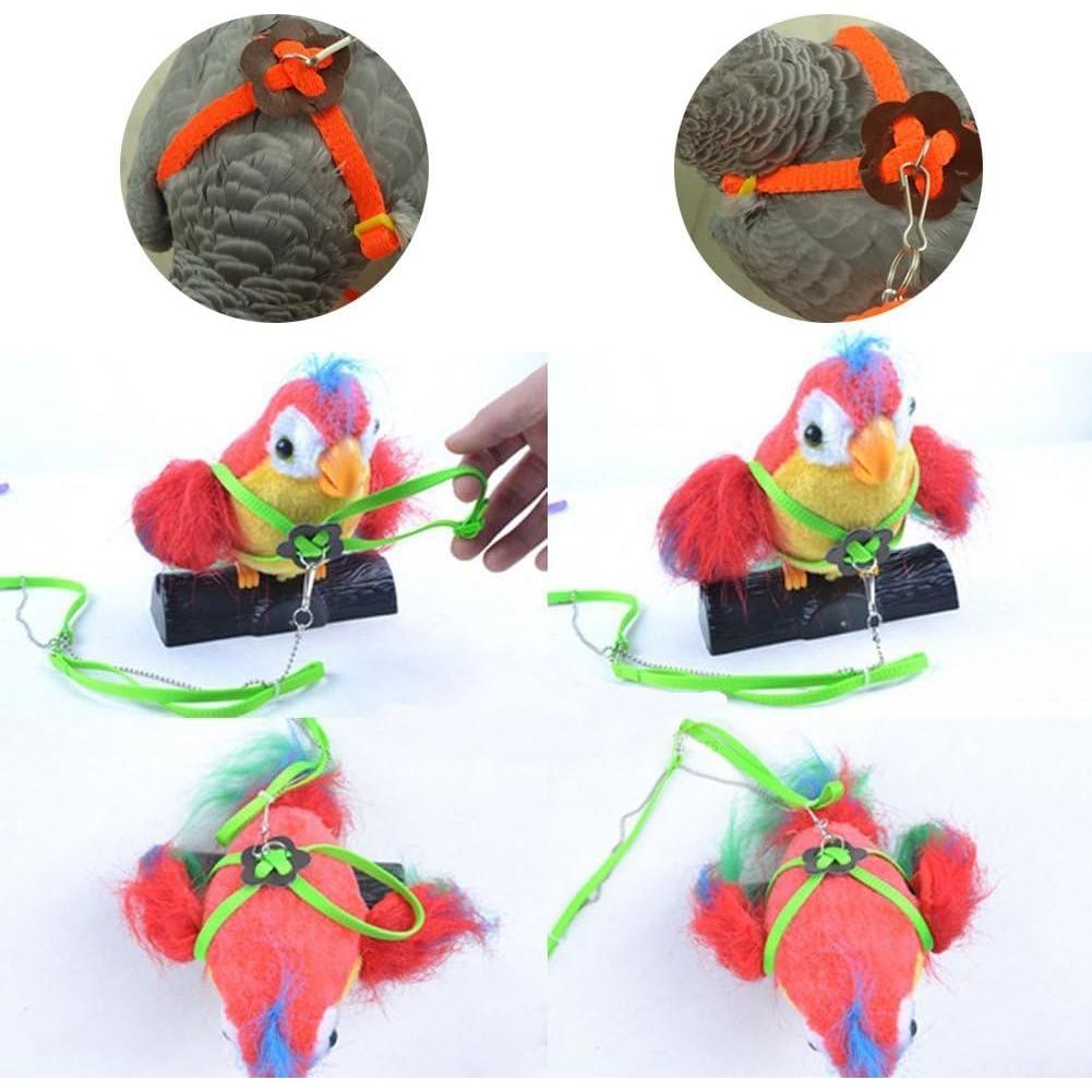 Conjunto Arnés y Correa Hypeety para Dragón Barbudo Reptiles