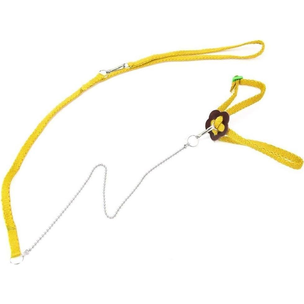 Conjunto Arnés y Correa Hypeety para Dragón Barbudo Reptiles