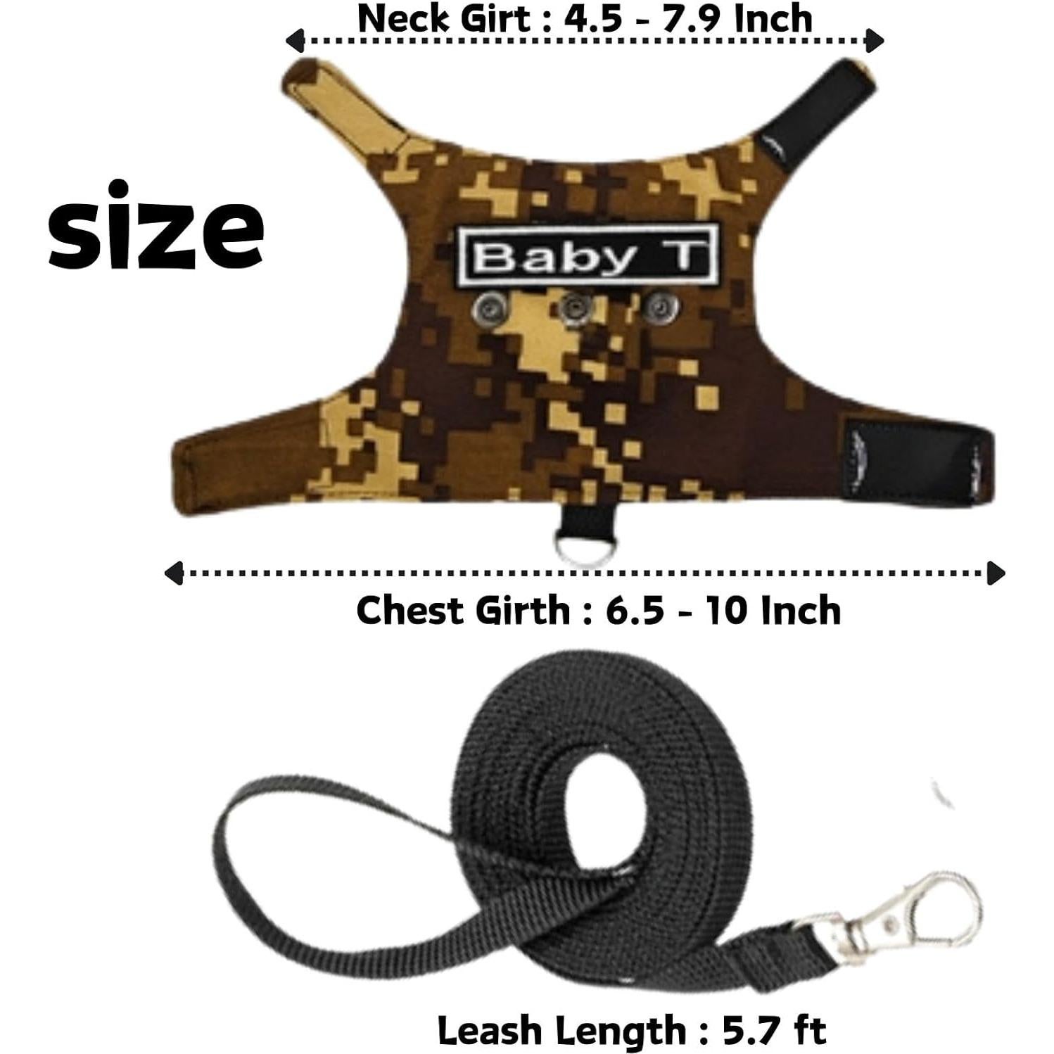 Conjunto Arnés y Correa para Dragón Barbudo KUNBIUH Ajustable