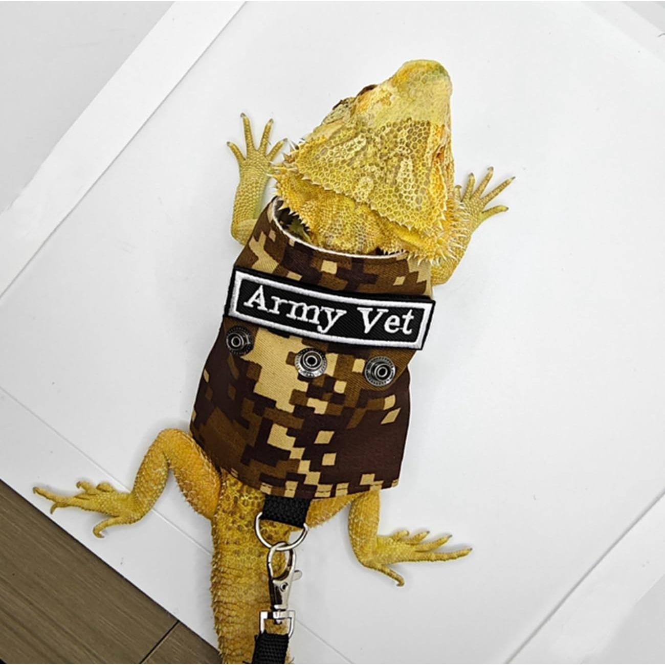 Conjunto Arnés y Correa para Dragón Barbudo KUNBIUH Ajustable