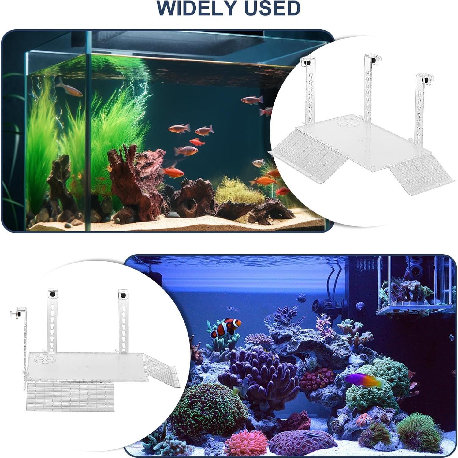 Plataforma de Sol para Tortugas Kaimenhong 35x20x25cm Acrílico