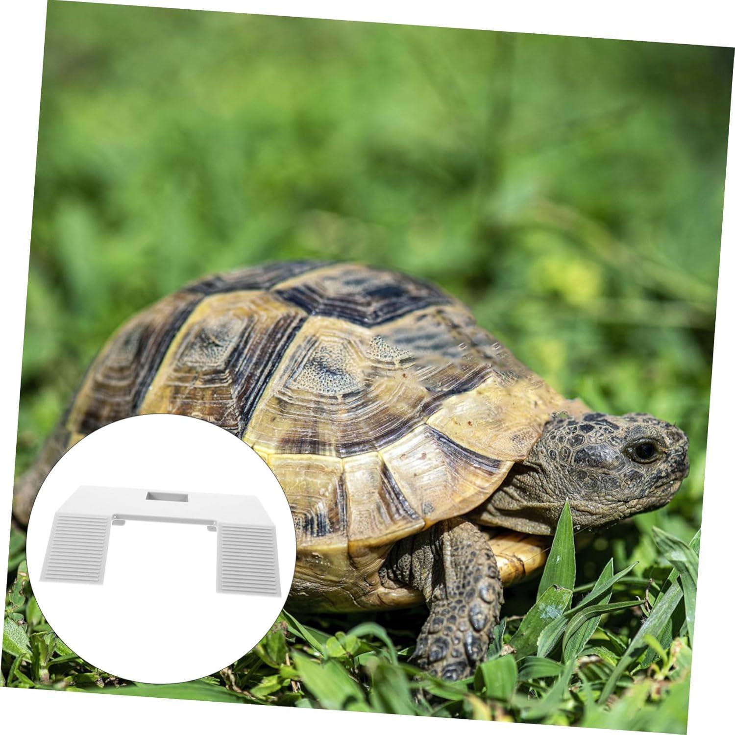 Plataforma para Tortugas Kisangel 22x17cm Plástico Blanco