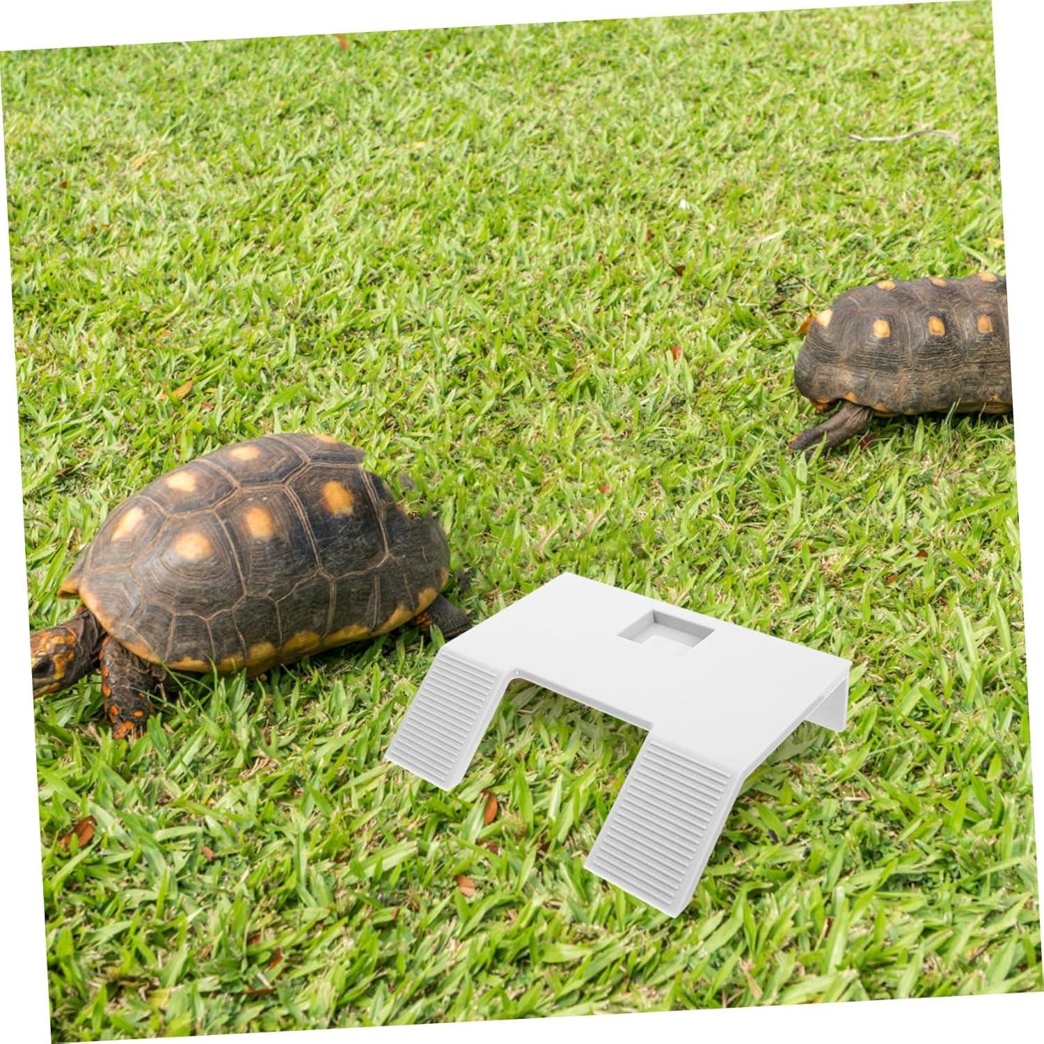 Plataforma para Tortugas Kisangel 22x17cm Plástico Blanco