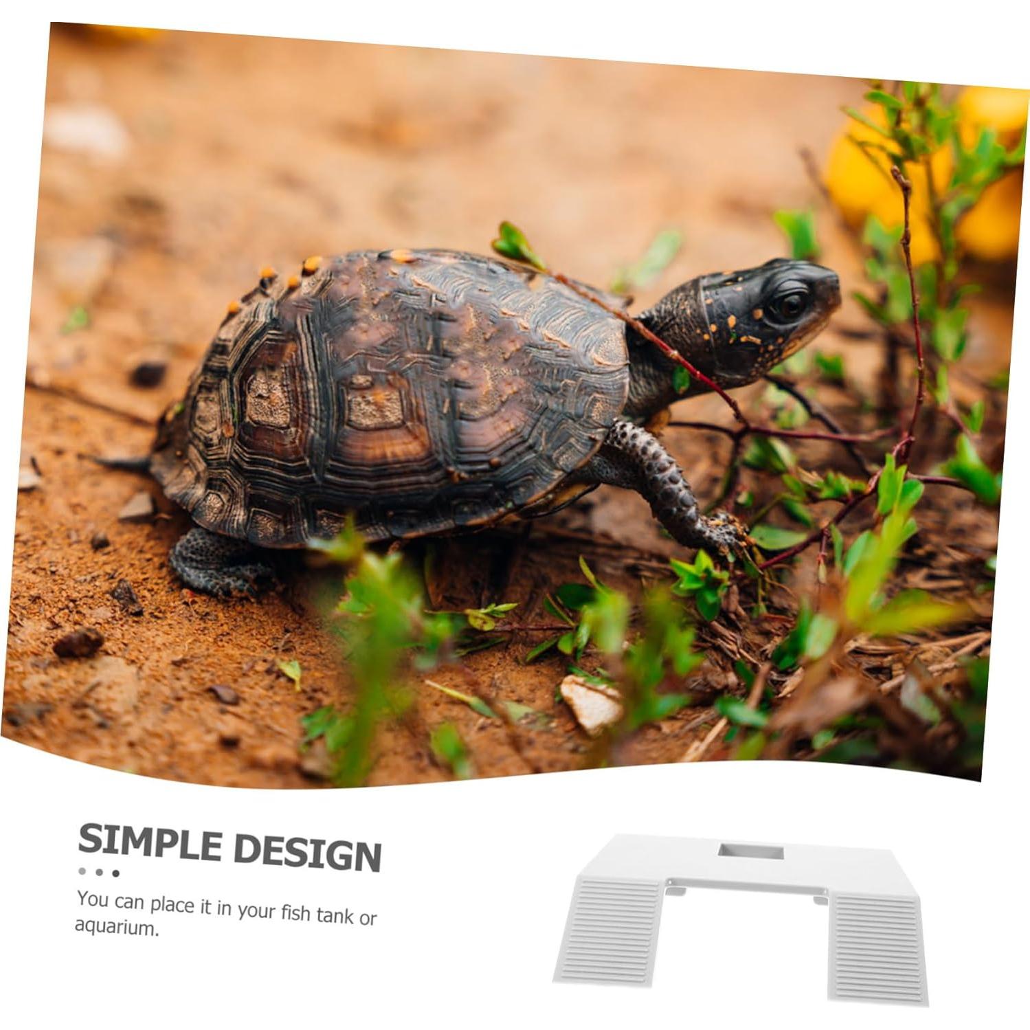 Plataforma para Tortugas Kisangel 22x17cm Plástico Blanco