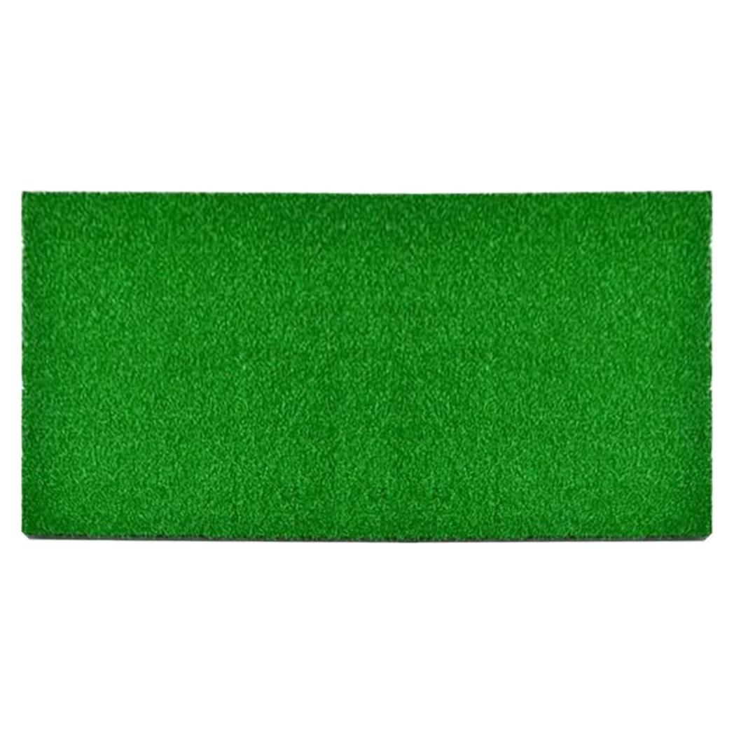 Césped Artificial para Tortugas Ipetboom 50x25 cm Verde