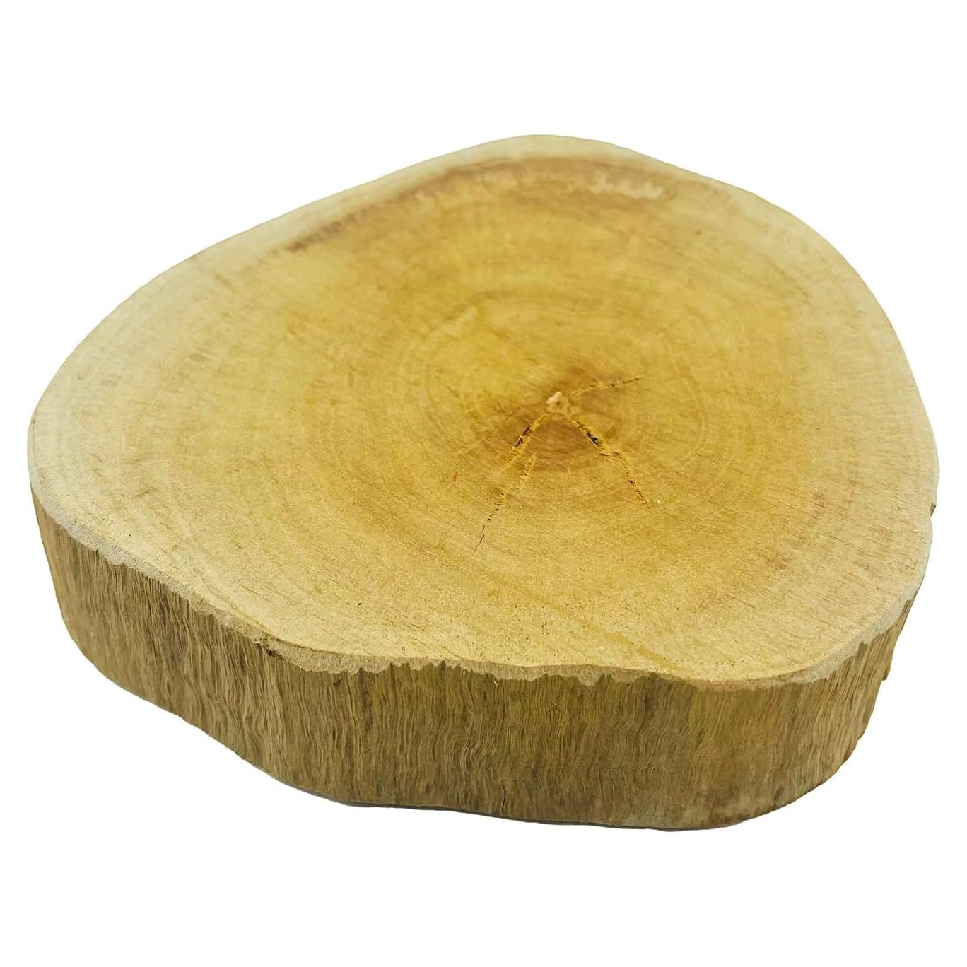 Plataforma de Sol para Tortugas ZYYRT 12x12x3cm Madera Natural