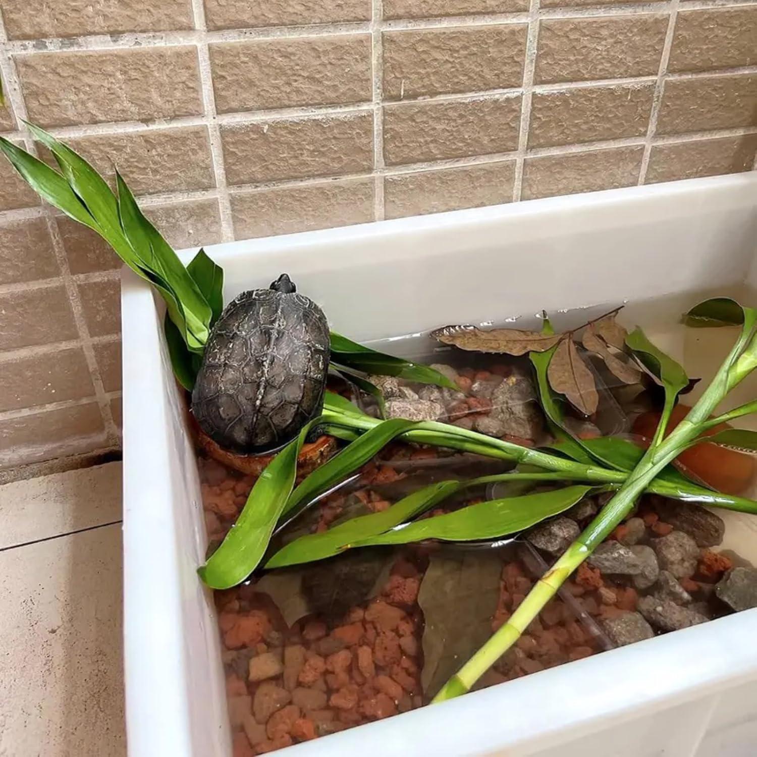 Plataforma de Sol para Tortugas ZYYRT 12x12x3cm Madera Natural