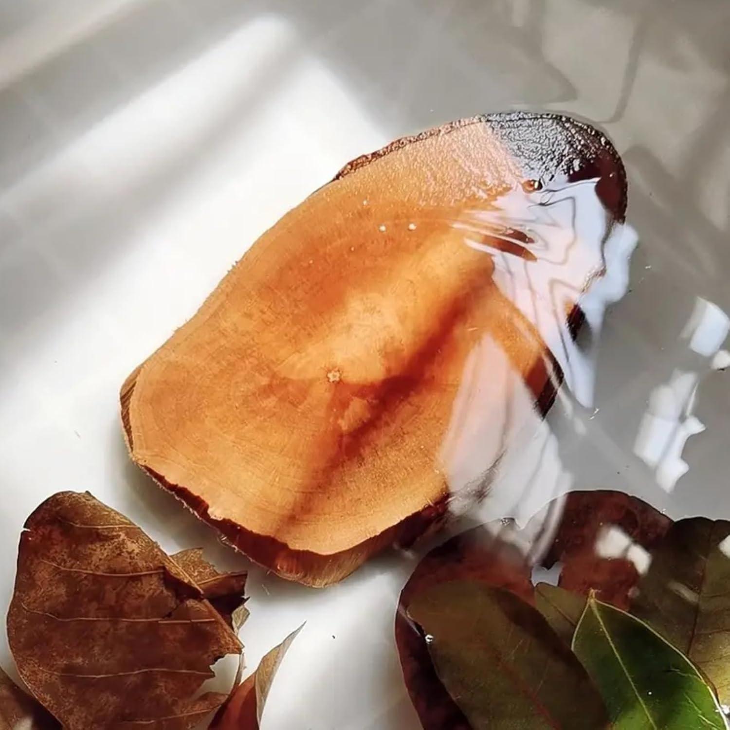 Plataforma de Sol para Tortugas ZYYRT 12x12x3cm Madera Natural