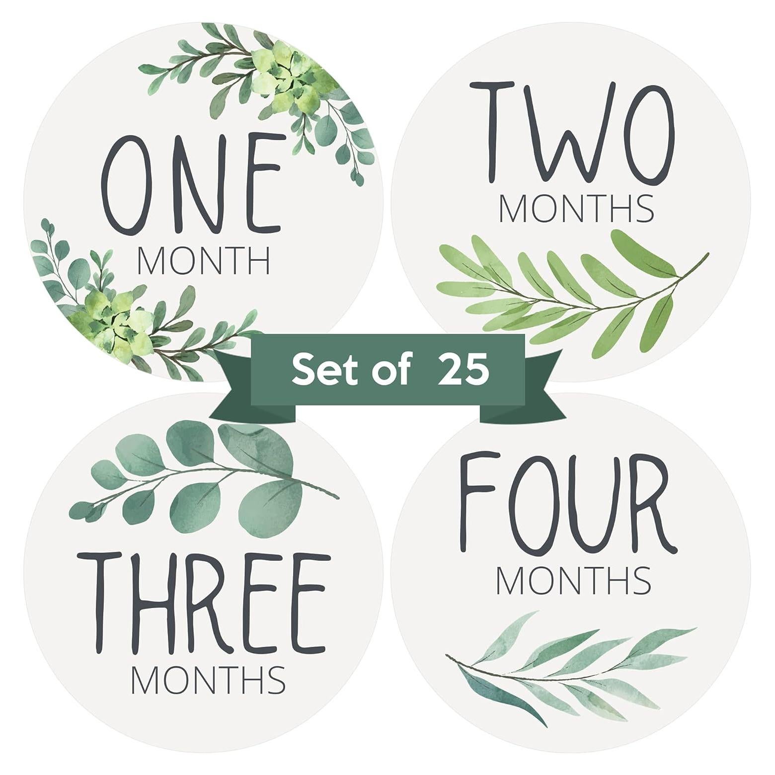 Calcomanías Mensuales para Bebés Little Moments - Set de 25