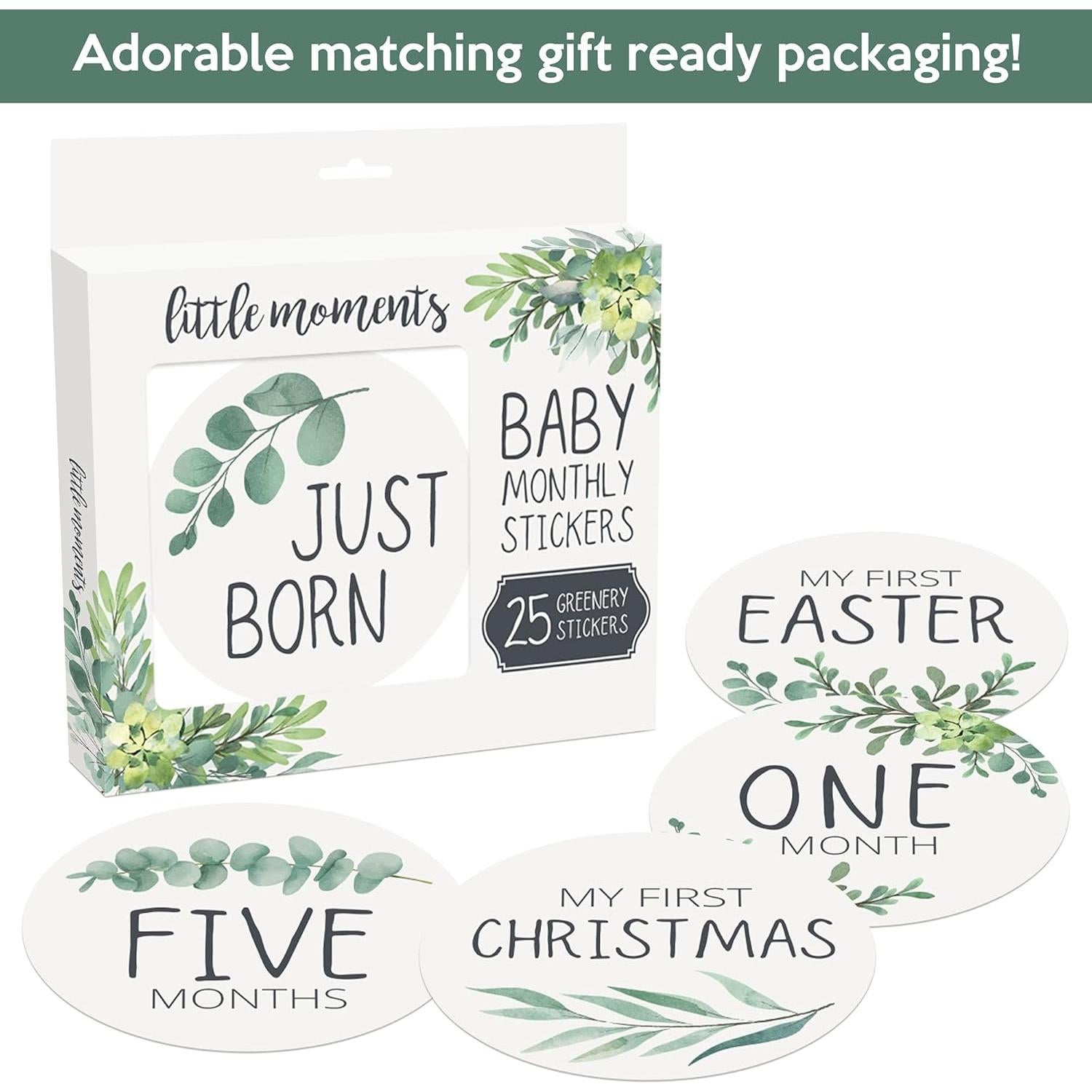 Calcomanías Mensuales para Bebés Little Moments - Set de 25