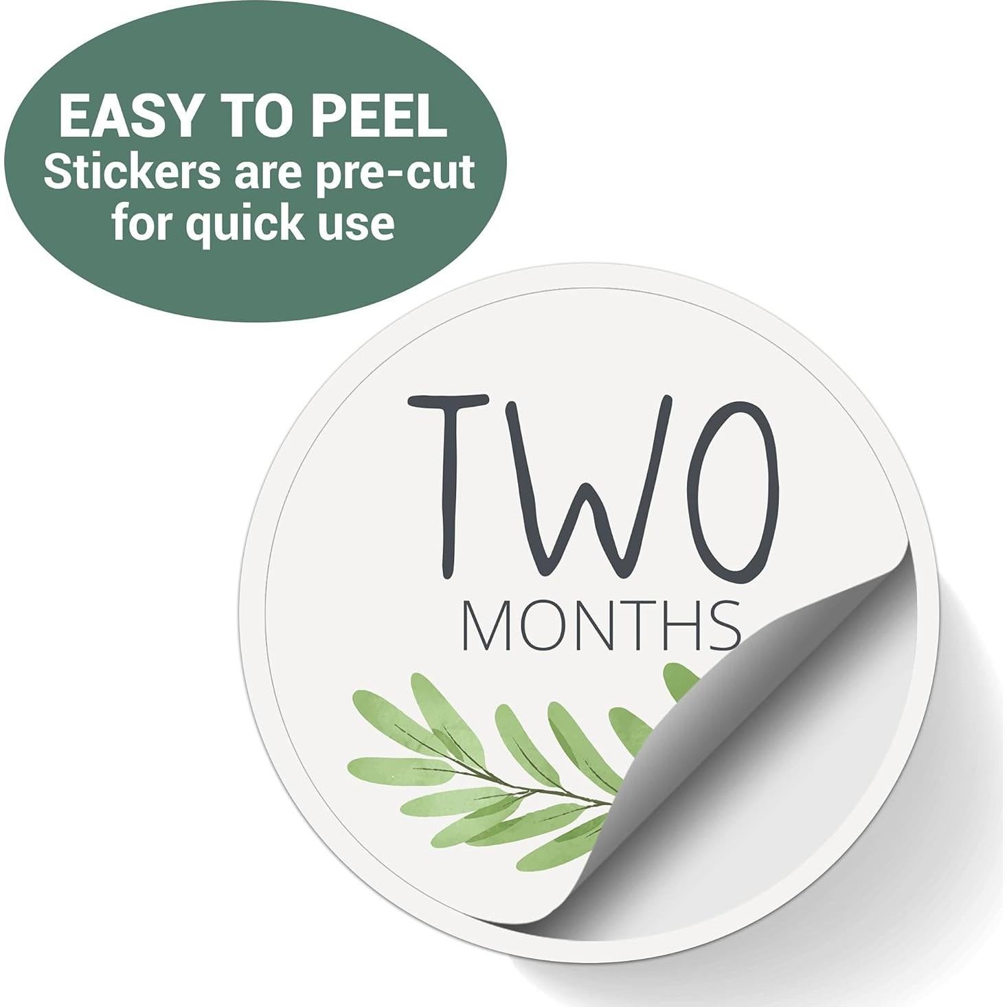 Calcomanías Mensuales para Bebés Little Moments - Set de 25