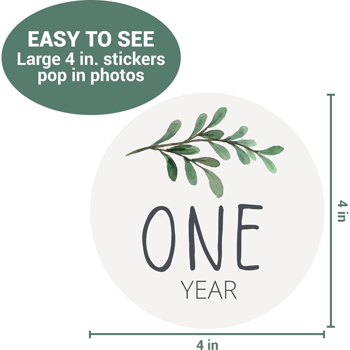 Calcomanías Mensuales para Bebés Little Moments - Set de 25