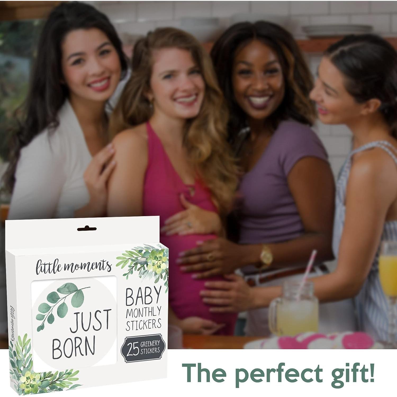 Calcomanías Mensuales para Bebés Little Moments - Set de 25