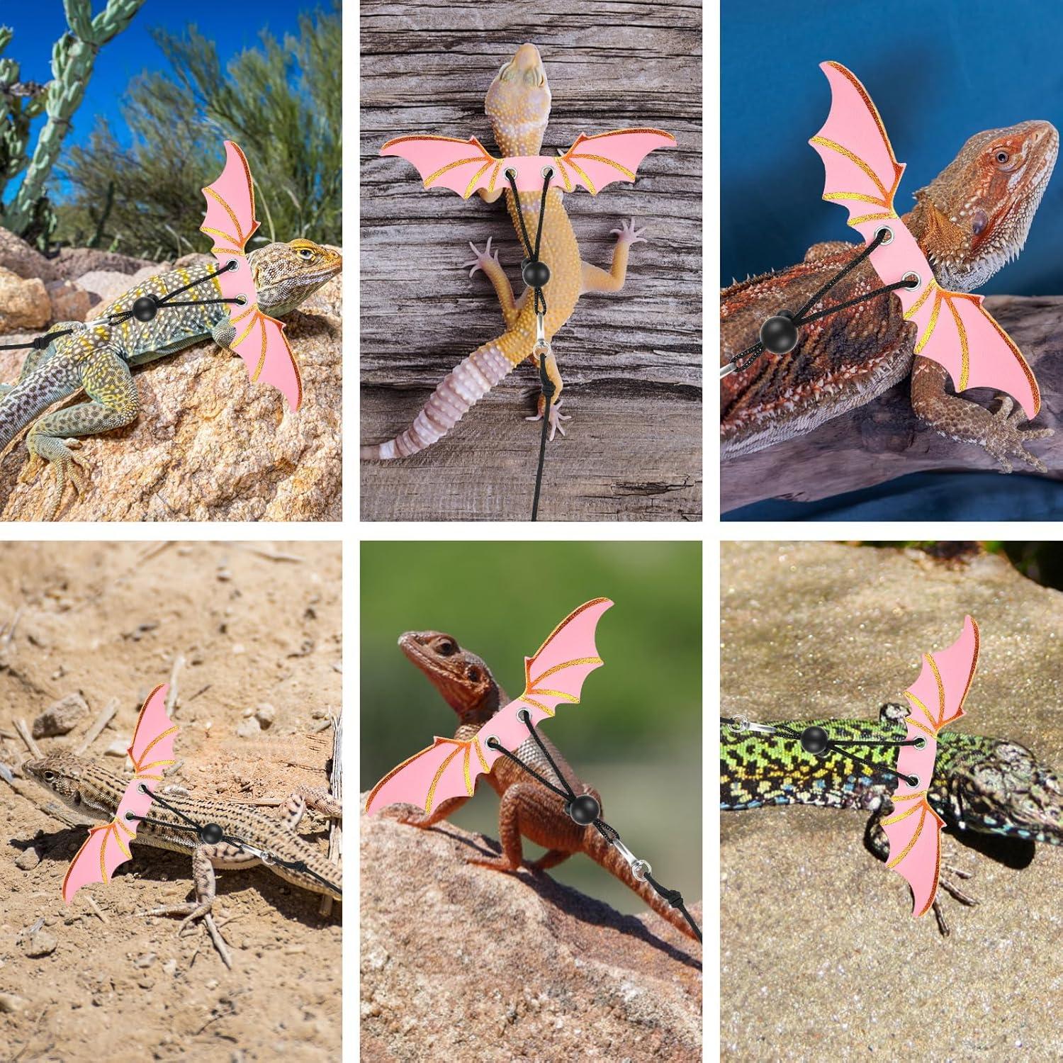 Juego de Arnés Ajustable para Reptiles Foyods con Alas (S/M/L)