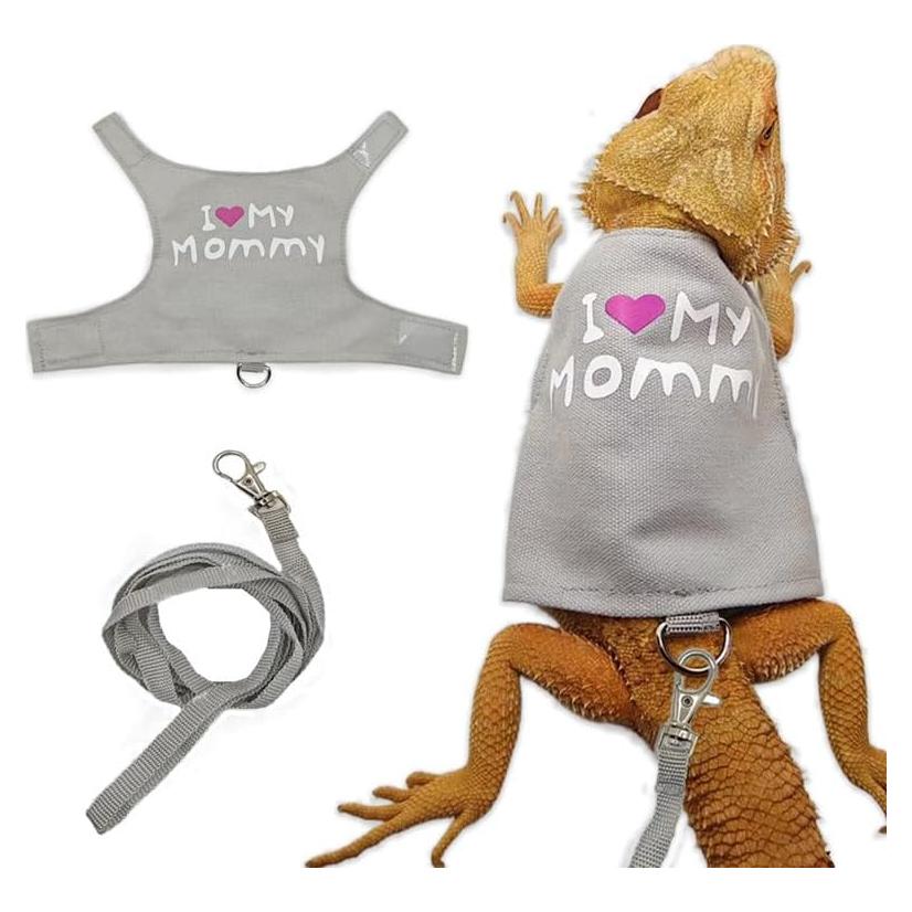 Correa y Arnés Ajustable HOKABLE para Dragón Barbudo Gris