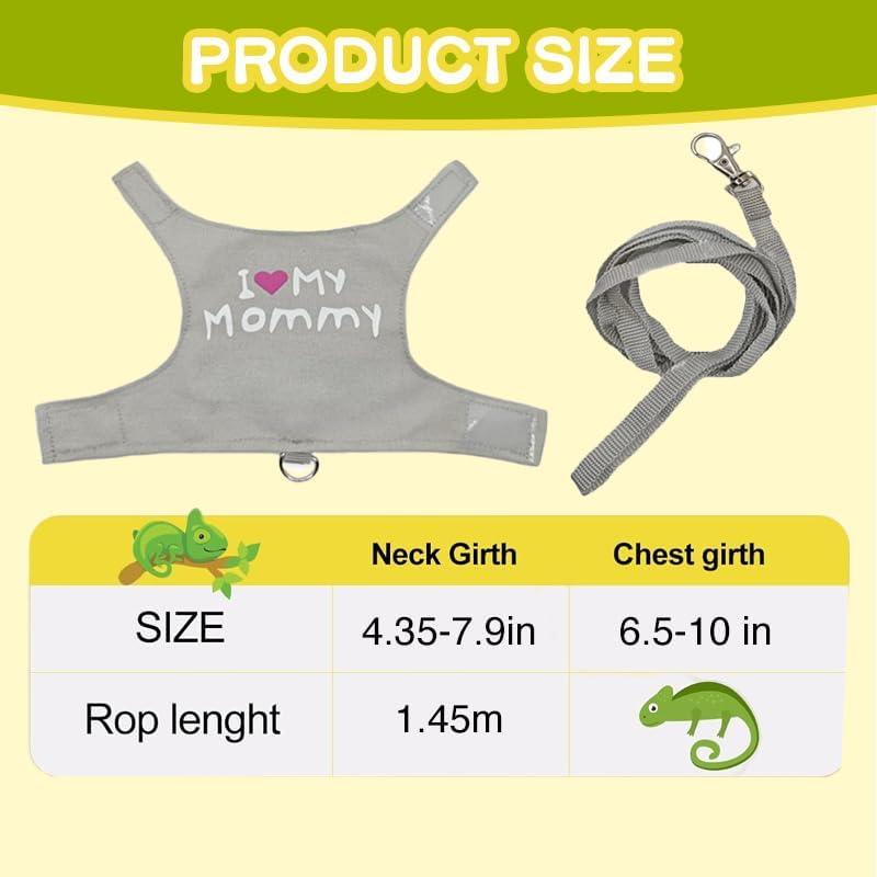 Correa y Arnés Ajustable HOKABLE para Dragón Barbudo Gris